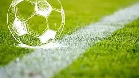 沙特利雅得新月宣布米林科维奇加盟，中场阵容实力大增