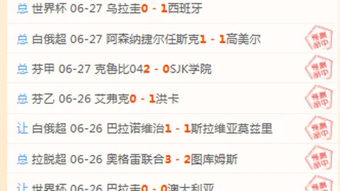 楚阿梅尼因伤缺席，好博体育平台，对阵巴拉圭，持续休战疑云待解
